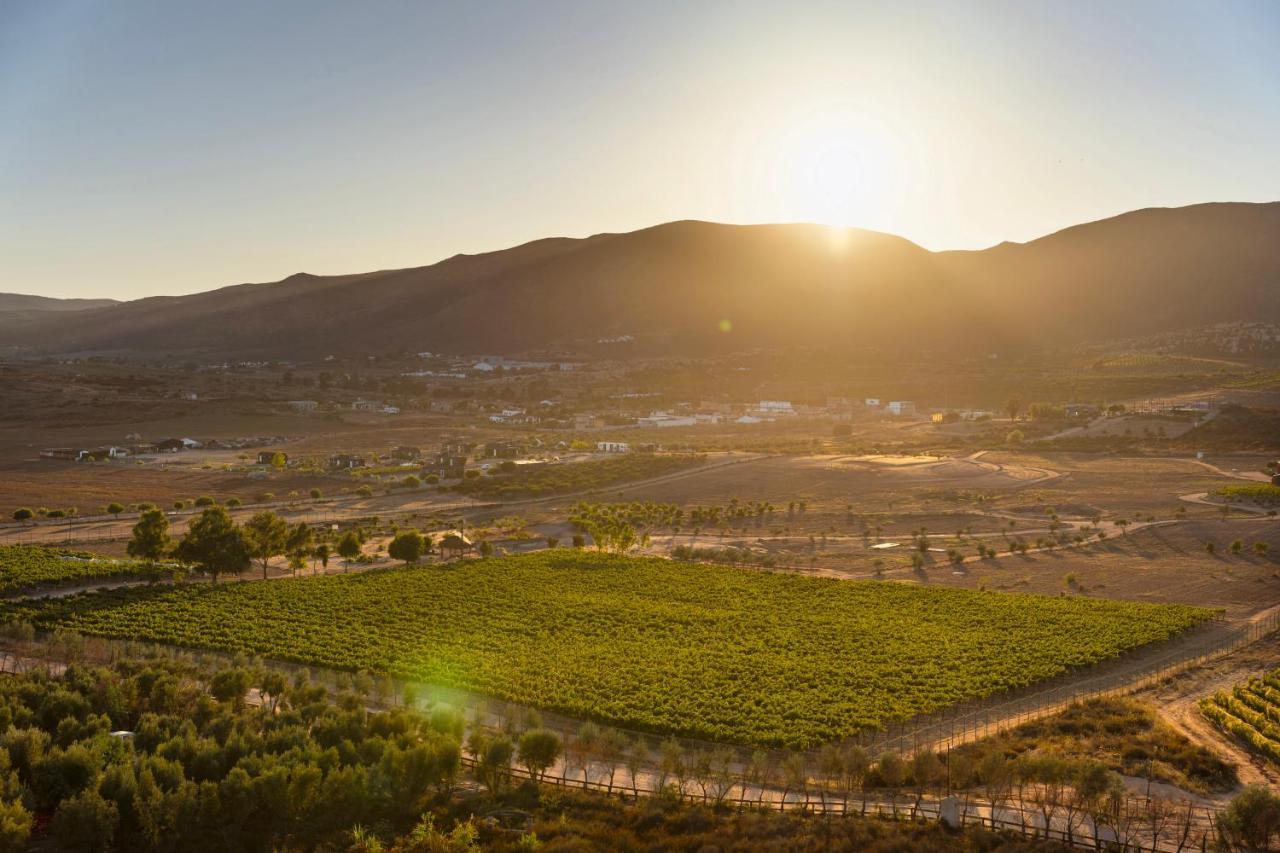 Banyan Tree Veya, Valle De Guadalupe - A Wellbeing & Wine Resort Екстериор снимка