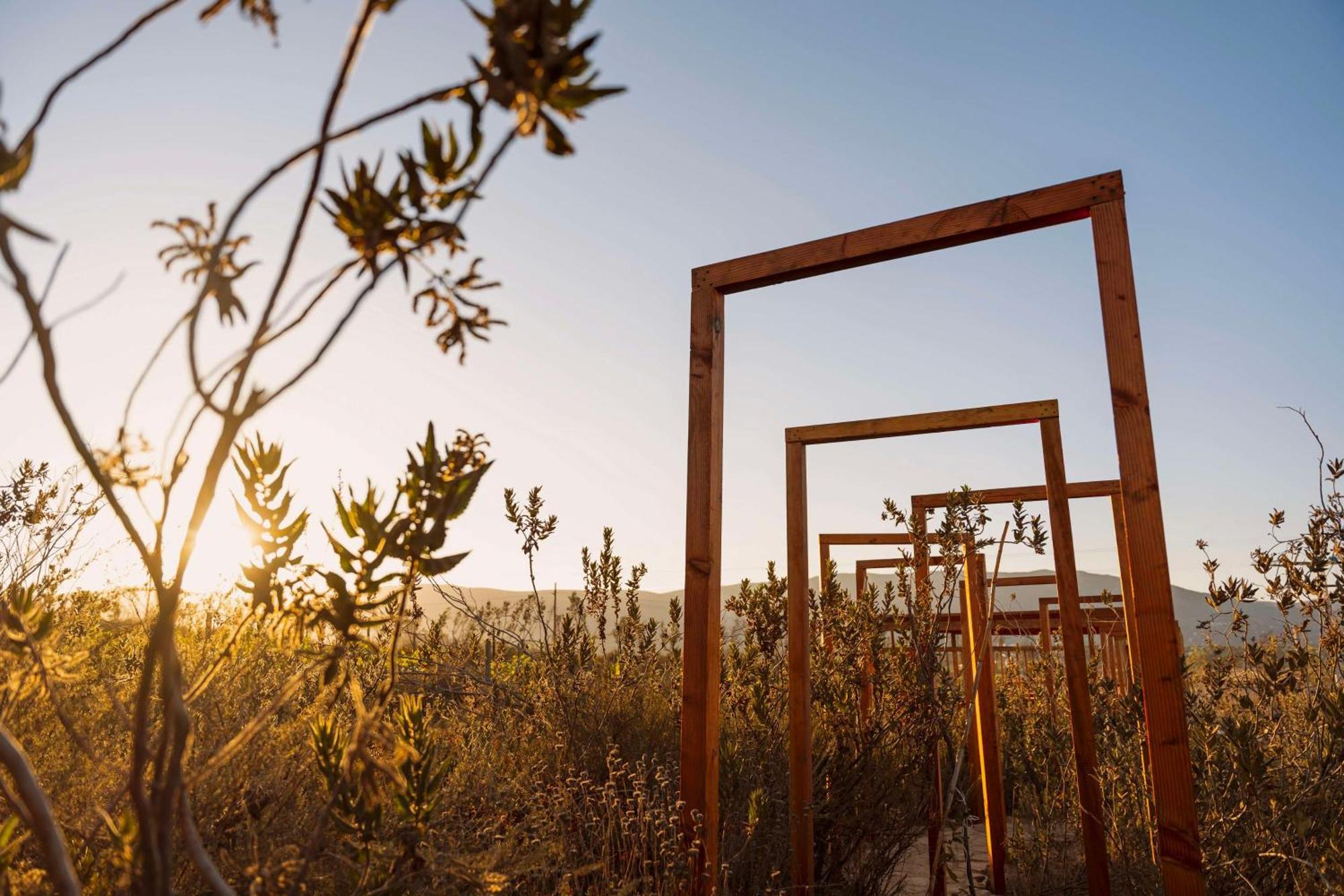 Banyan Tree Veya, Valle De Guadalupe - A Wellbeing & Wine Resort Екстериор снимка